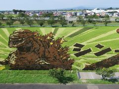 弘前に向かう途中、「道の駅いなかだて」に寄ったときに、田んぼアートを発見。展望台にのぼるとシン・ゴジラの絵になっていました。
