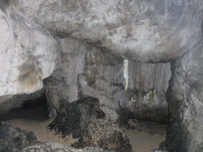 写真だと  ちょっと不気味…。