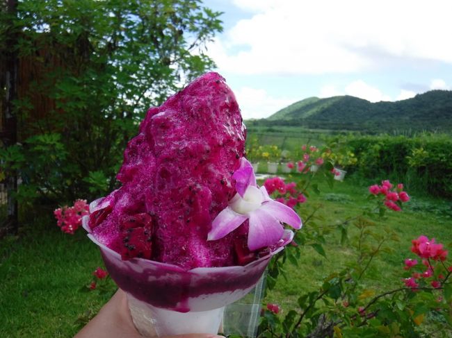 ドラゴンフルーツ  美味しい！<br /><br />今年はフルーツ全般が不作らしくて残念。<br />冬、寒かったのが原因らしいです。