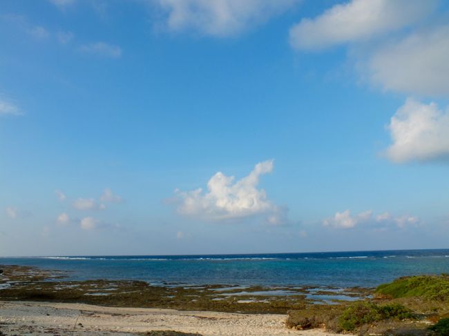 朝の宮里海岸です。