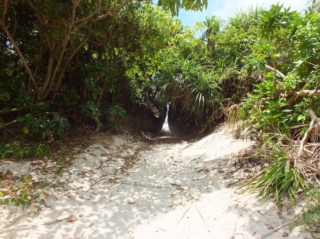 この岩のことらしいです。