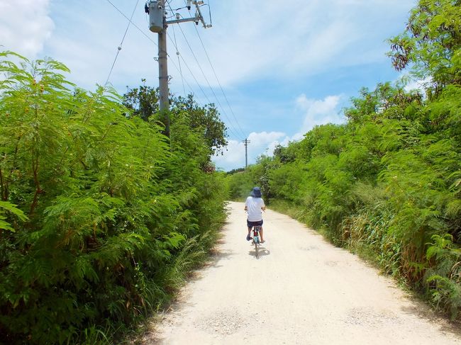 港から西が浜に沿った道を使って、宿（黒島研究所方面）に向かってみます。