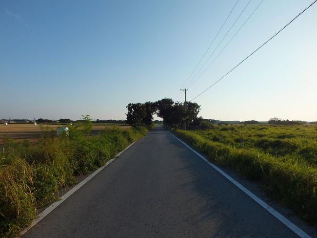 帰り道。この道は黒島小中学校へ向かう道です。<br />ここをのんびりと自転車で走るのが大好きです。