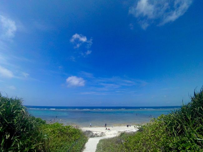 この日の干潮時刻は9:21なので、早めに仲本海岸へ。<br />宿からは自転車で3分くらい。<br />干潮時刻を挟んだ３時間くらいがここでのシュノーケリングに適してると思います。