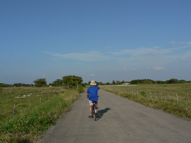 しばらくこんな景色です。