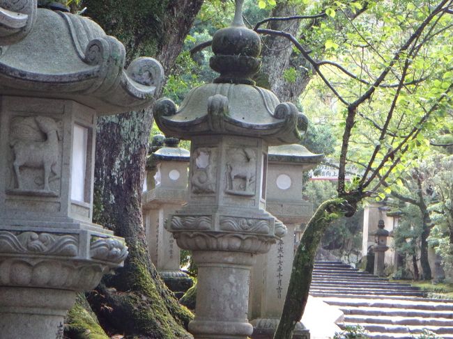 チェックアウト、荷物宅配に思いのほか時間がかかり、<br />予定してたバスに乗れなかった…<br />本殿近くに行く「春日大社本殿」行バスが遅れていて<br />市内循環外回りが来たけれど、これだと「春日大社表参道」下車した後徒歩約10分<br />意地でも待つぞと、結構待ってやっと乗車し到着したのは9時頃