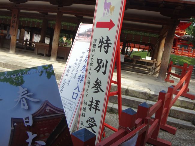 特別参拝は社務所にて初穂料500円を渡して入ります。<br /><br />第六十次式年造替の外遷宮を記念して、今回初めて御假殿ご参拝用の御朱印をもらえるそうでそれならといただきました。<br />御朱印の印章は円形で藤巴紋があり、「第六十次式年造替　拝御假殿」と書いてあるそうです。<br />この特別バージョンの御朱印は今年2016年平成28年11月6日の本殿遷座祭までの期間限定。<br />