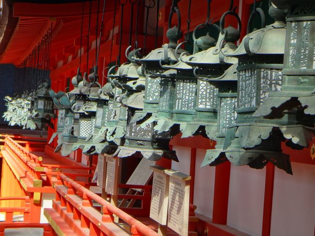 朝はやはり気持ちがいいですね<br />