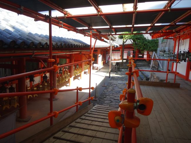 御本殿は工事中で入れません。その左にある式年遷宮中で20年に1度の御假殿への参拝です。<br />平成27年3月27日に仮殿遷座祭があって今年の平成28年11月 6日本殿に戻られます。<br />そこでお参りをして左に通り抜けます