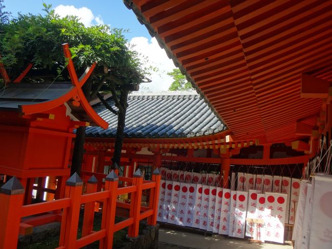 北回廊と多賀神社<br />平成28年10月6日～10月23日にはお砂持ち行事、（前に上賀茂で参加したようなもの上賀茂神社、式年遷宮の本殿前に御白砂を撒きにいくhttp://4travel.jp/travelogue/11065957）をしていますが、10月なので9月ではまだ早い。 <br />