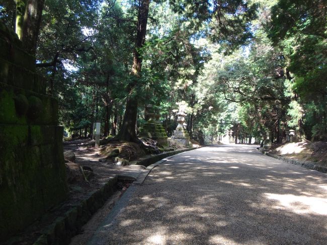 そんなにうっそうと暗くじめじめではありませんが<br />素晴らしくさわやかってほどには感じず