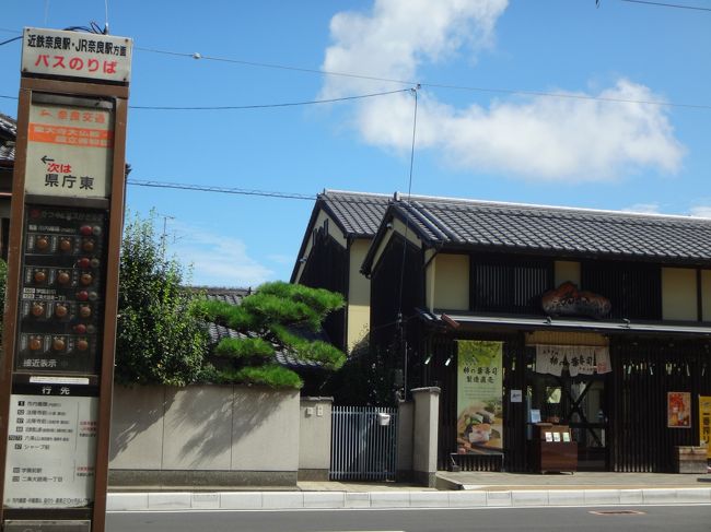 県庁東から県庁前までのたった一停留所、乗り放題なのでバスに乗る