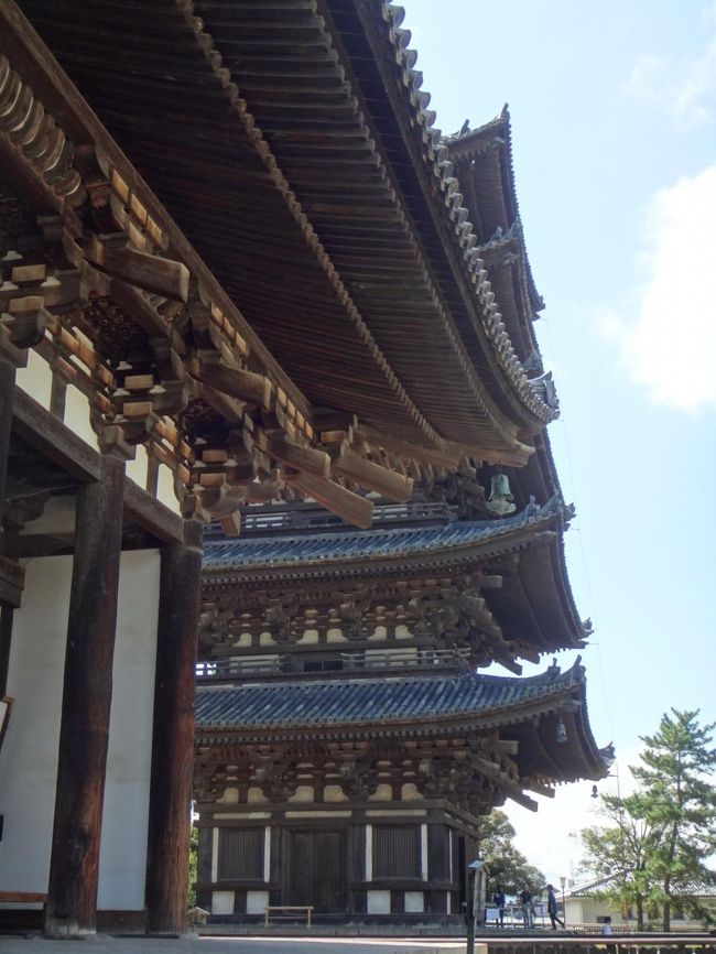 五重の塔のお隣です。五重塔三重塔特別参拝券を持っていると50円引き、でも別料金。<br />この中も見所ありました。御本尊の薬師如来坐像や四天王立像、十二神将立像などの国宝や重要文化財らしいですが、仏像好きにはたまらないと思う。