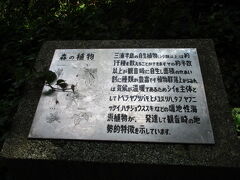 山の中？を歩くわけですが、森の植物、の説明板。

この辺りの道は一人で夕暮れなら、ちょっと怖いかも、です。

小さなトンネルもありますし、山の中で薄暗いですし・・