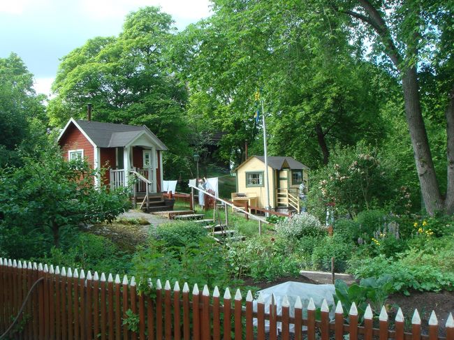 手入れが行き届き、かつ種類も豊富な菜園。見事です。