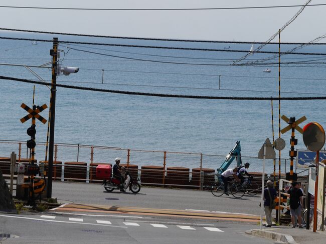 湘南 日本一有名な踏切 江ノ電 鎌倉高校駅前 初秋の県立フラワーセンター大船植物園を訪れて 藤沢 江ノ島 神奈川県 の旅行記 ブログ By Sakatomoさん フォートラベル