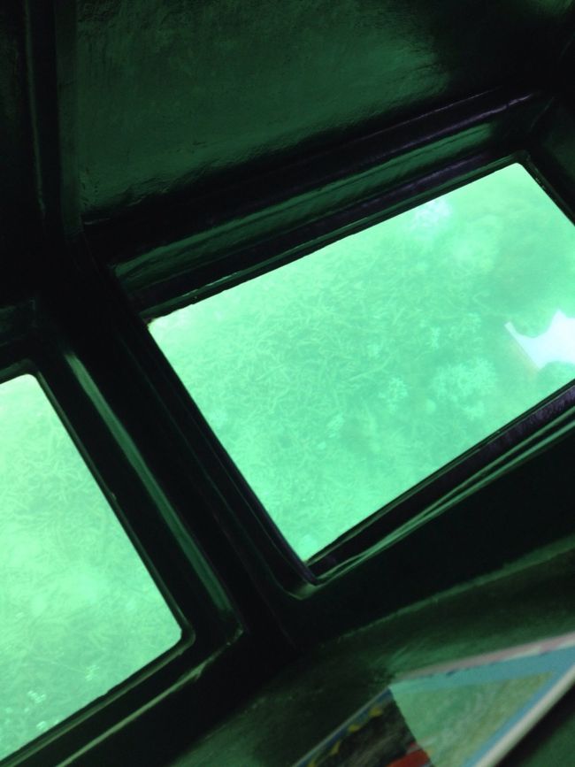 川平湾のグラスボートのなか