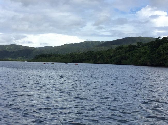 マングローブ  クルーズ<br /><br />カヌーの皆さんがたくさんいました。<br />次に来た時はカヌーもいいな〜<br />