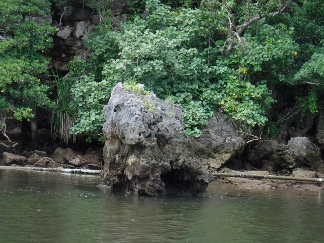 穴がたくさん空いてます。<br />珍しいらしいです。