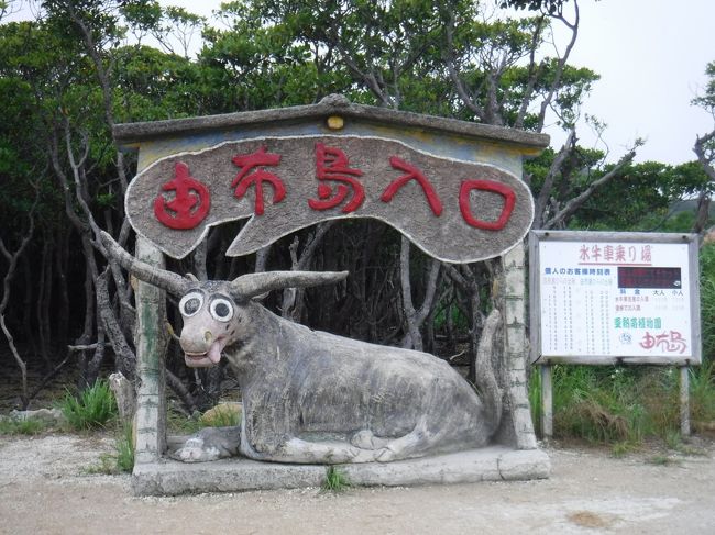 像が…<br />不気味…。<br />