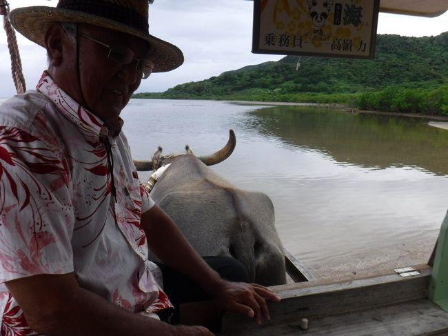 水牛の説明と<br />三線弾きながら歌ってくれます。<br /><br />ん〜。いい！（≧∇≦）