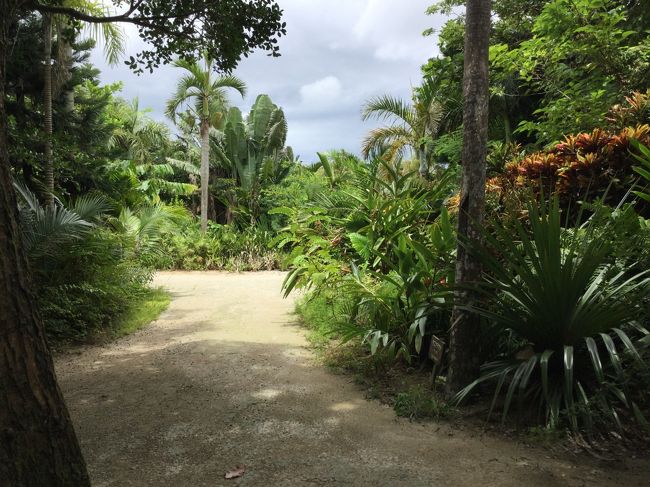 いい感じの道が続いています。<br />