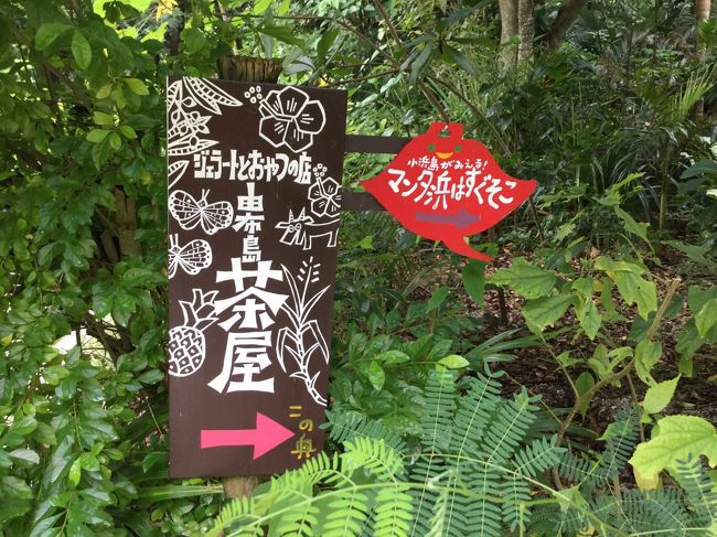 ジェラート<br /><br />美味しかったです。