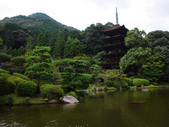 お腹も満足したので、瑠璃光寺へ。
入口を入ると、すぐ右手に懐かしい国宝の五重塔が。
変わらずの優雅で美しい佇まいにしばし感動。
さすが、日本三名塔だなと。
池や木々との調和も見事だった。