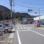 伊東温泉　河津桜まつり 