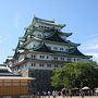 猫探し【愛知（名古屋城・犬山城・Nagoya castle & Inuyama castle）編】