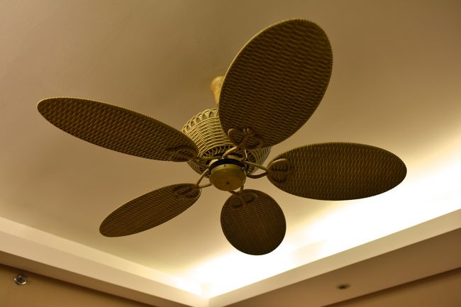 クーリングファンは凝ってました<br />籐ですかね