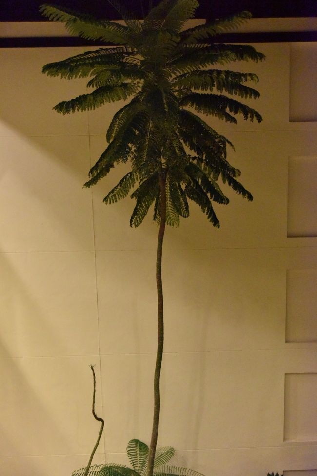 ホテル内の植物