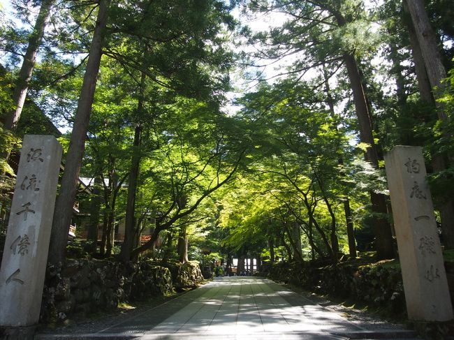 永平寺参道を行き、、、