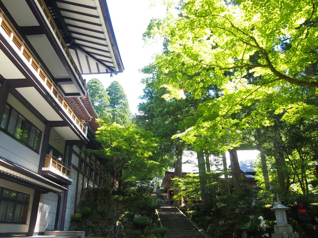 秋には紅葉が綺麗なようですが、この時の木々は青々しててこれも綺麗でした