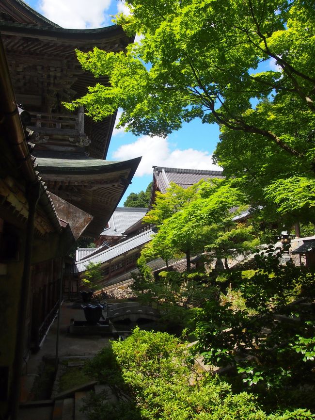 山門を階段の途中から撮影