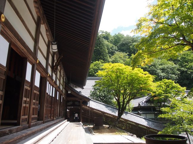 法堂の所にまた戻って、あとは戻りながら拝観します