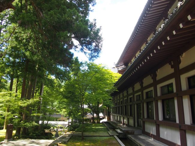 傘松閣の方とは違う方へ曲がり、、