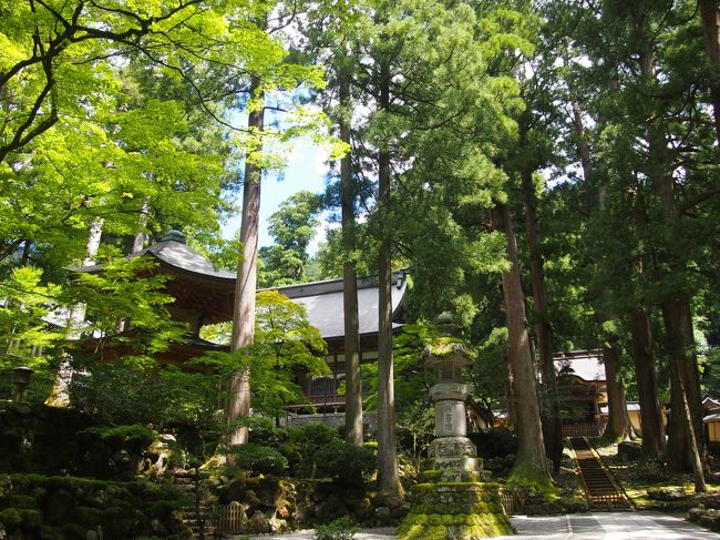 最後に【勅使門（唐門）】の辺りを撮って、永平寺を後にしました