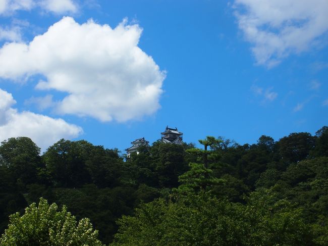 結ステーションから越前大野城が見えます