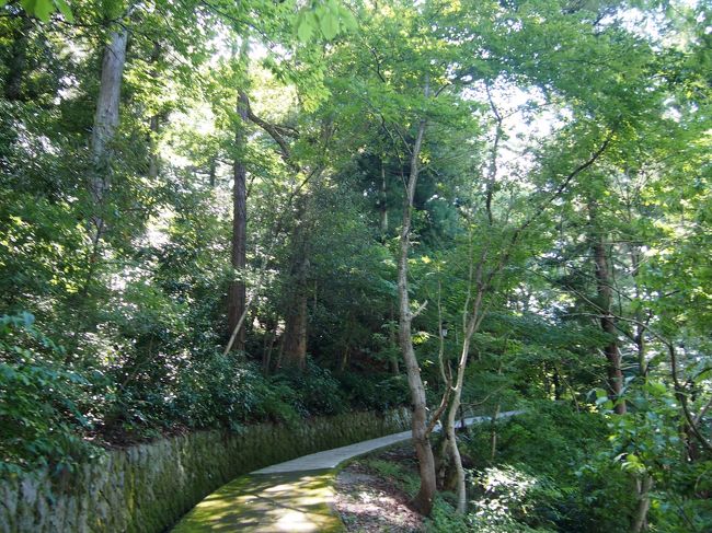 なだらかな登り坂