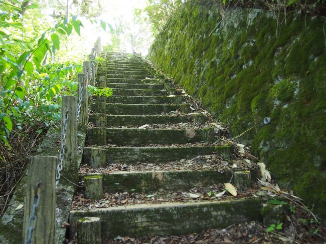 なだらかなルートもありますが、階段は少し近道なので、ちょっと急になってます