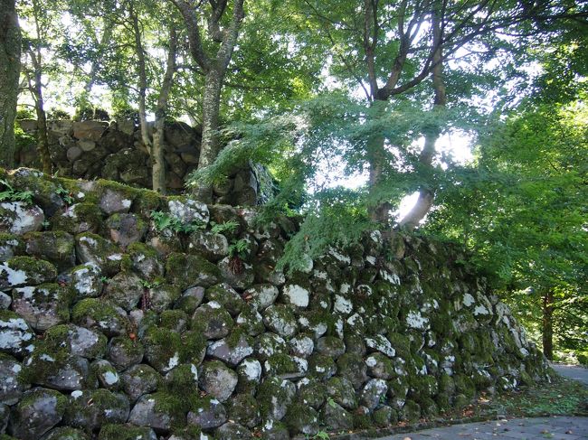 何か所か登り口があり、場所によって１０分〜２０分くらいで上がれます