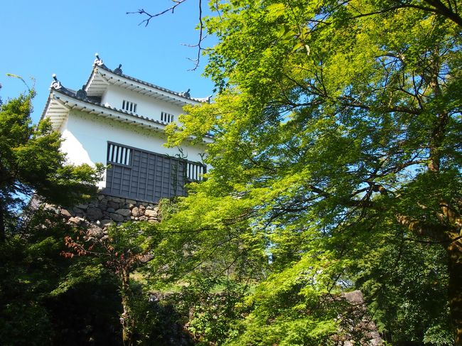 ［歴代城主］<br />金森家、長谷川家、青木家、織田家、土屋家、小栗家、松平家、土井家