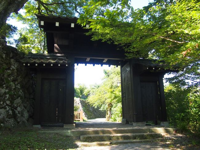 登ってきた道と違うルートで戻ります<br /><br />