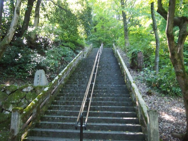 私たちは下りで使いましたが、こっちの階段を昇るのはちょっと辛そうです…