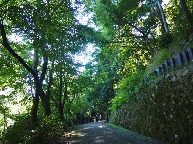 下の方はなだらかな坂なので、ツラいのは最後くらいかな？