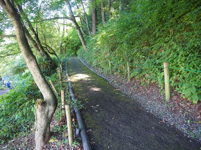 ［百間坂］<br /><br />亀山山頂の本丸に行くための唯一の通路だったようです