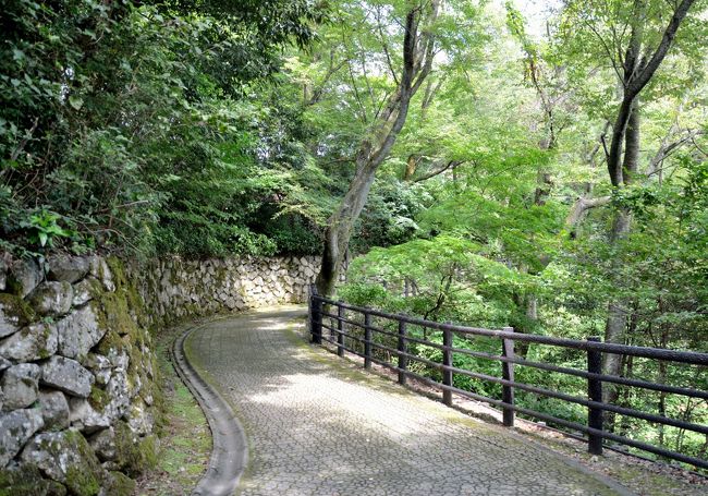 大野城への遊歩道