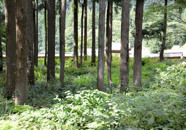 白山平泉寺旧境内の復元された門、土塀