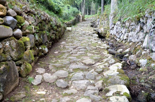 発掘された中世の石畳道